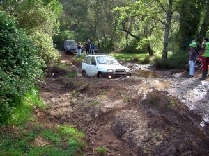 [PICT6849red[1].jpg]